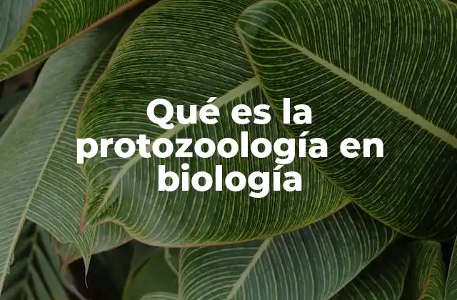 Qué es la Protozoología en Biología