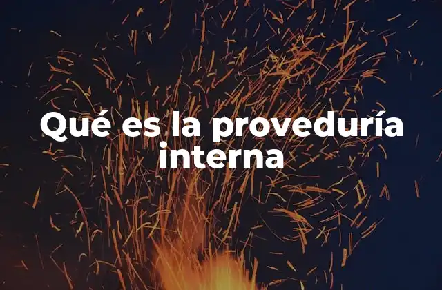 Qué es la Proveduría Interna