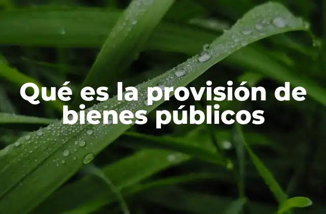 Qué es la Provisión de Bienes Públicos