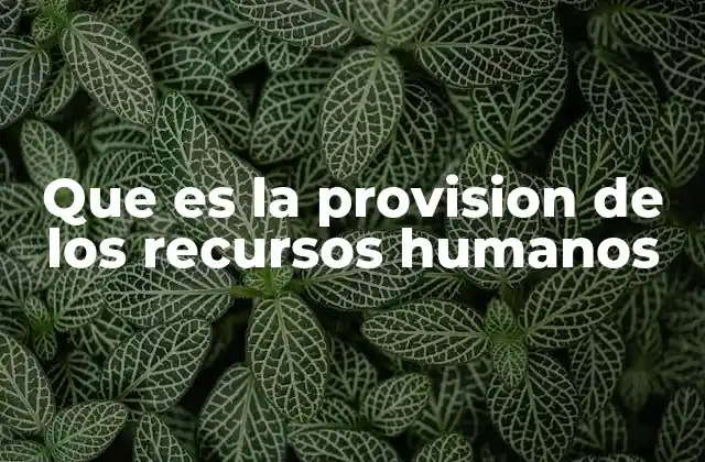 Que es la Provision de los Recursos Humanos