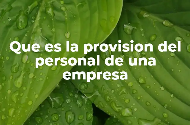 Que es la Provision Del Personal de una Empresa