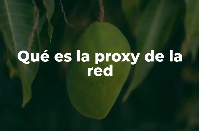 Qué es la Proxy de la Red