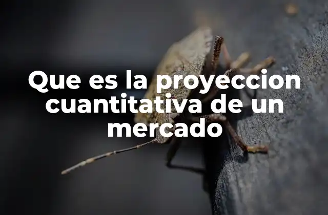 Que es la Proyeccion Cuantitativa de un Mercado 2 Cómo la proyección cuantitativa guía las decisiones empresariales
