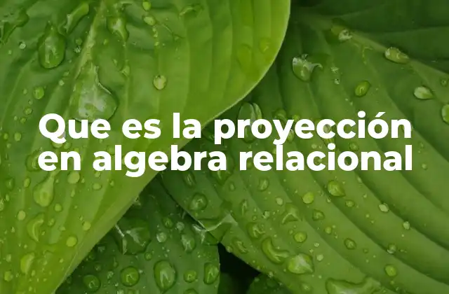 Que es la Proyección en Algebra Relacional