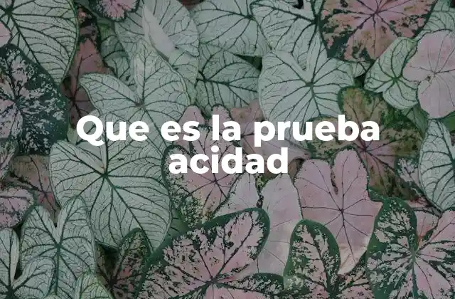 Que es la Prueba Acidad