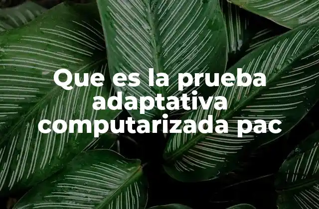 Que es la Prueba Adaptativa Computarizada Pac 2 La evolución de las pruebas psicológicas hacia formatos digitales