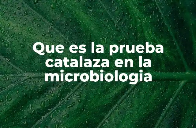 Que es la Prueba Catalaza en la Microbiologia