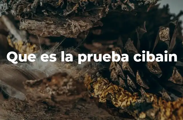 Que es la Prueba Cibain