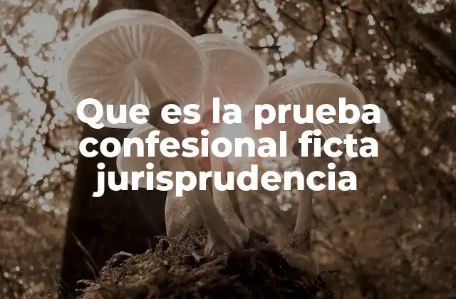 Que es la Prueba Confesional Ficta Jurisprudencia