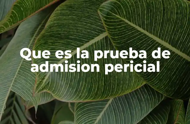 Que es la Prueba de Admision Pericial