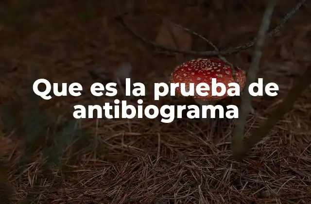 La importancia del antibiograma en la medicina moderna