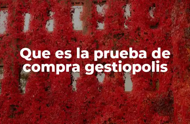 Que es la Prueba de Compra Gestiopolis