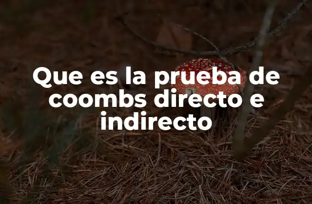 Que es la Prueba de Coombs Directo e Indirecto 2 Diferencias entre la prueba de Coombs directa e indirecta