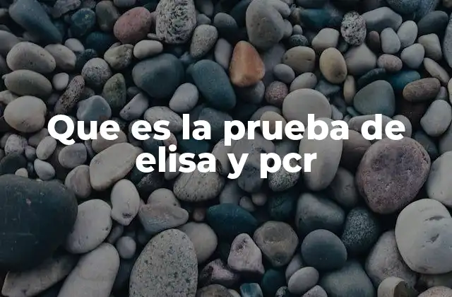 Que es la Prueba de Elisa y Pcr