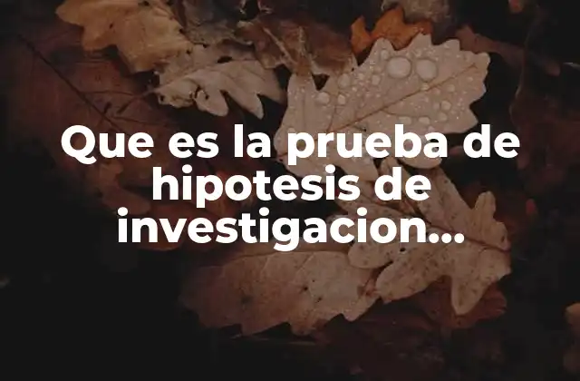 Que es la Prueba de Hipotesis de Investigacion Hernandez