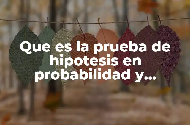 Que es la Prueba de Hipotesis en Probabilidad y Estadistica