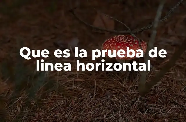 Que es la Prueba de Linea Horizontal