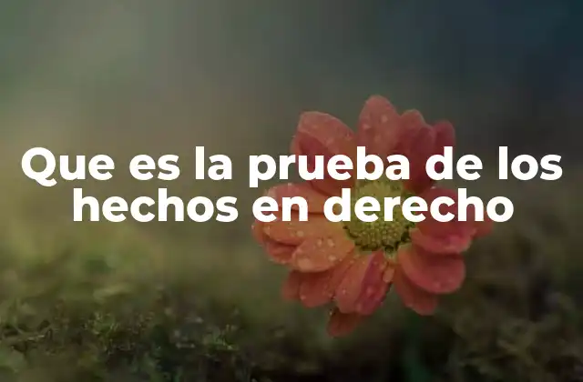 El papel de la prueba en la justicia y el sistema legal