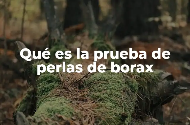 Qué es la Prueba de Perlas de Borax