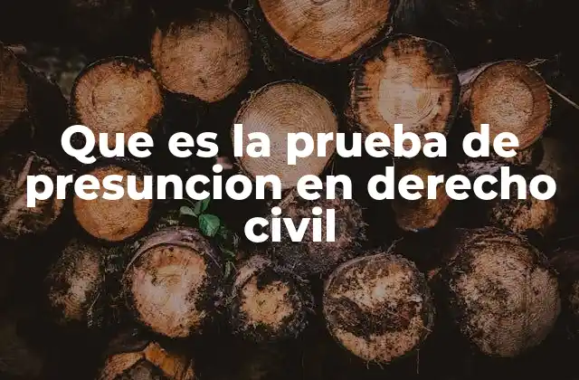 Que es la Prueba de Presuncion en Derecho Civil