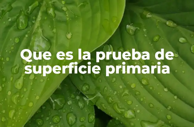 Que es la Prueba de Superficie Primaria