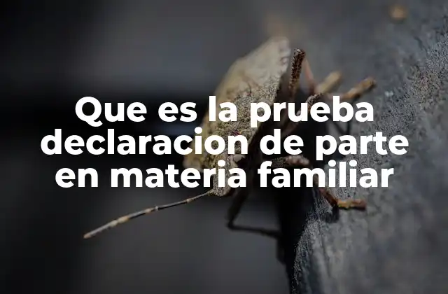 Que es la Prueba Declaracion de Parte en Materia Familiar