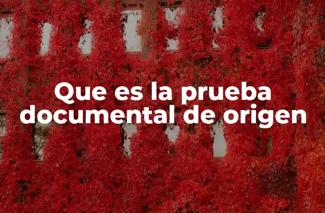 Que es la Prueba Documental de Origen