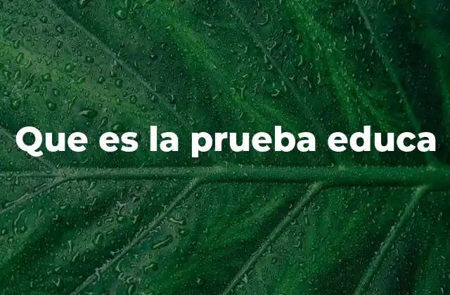 Que es la Prueba Educa
