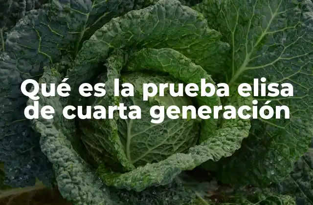 Qué es la Prueba Elisa de Cuarta Generación