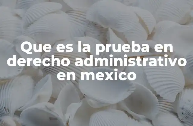 Que es la Prueba en Derecho Administrativo en Mexico