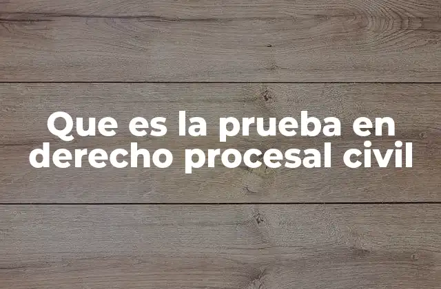 La importancia de la prueba en el desarrollo de un proceso judicial