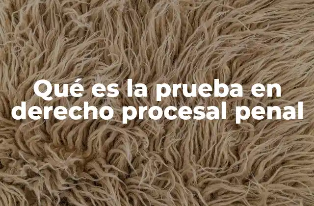 Qué es la Prueba en Derecho Procesal Penal
