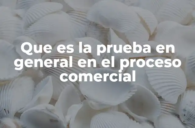 Que es la Prueba en General en el Proceso Comercial