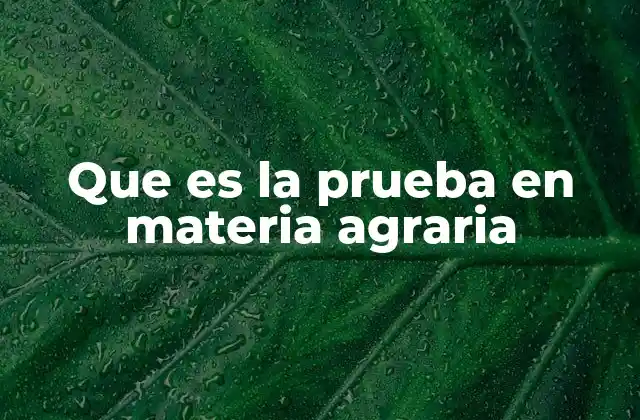 Que es la Prueba en Materia Agraria