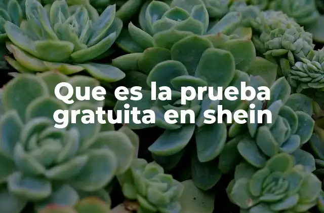Que es la Prueba Gratuita en Shein