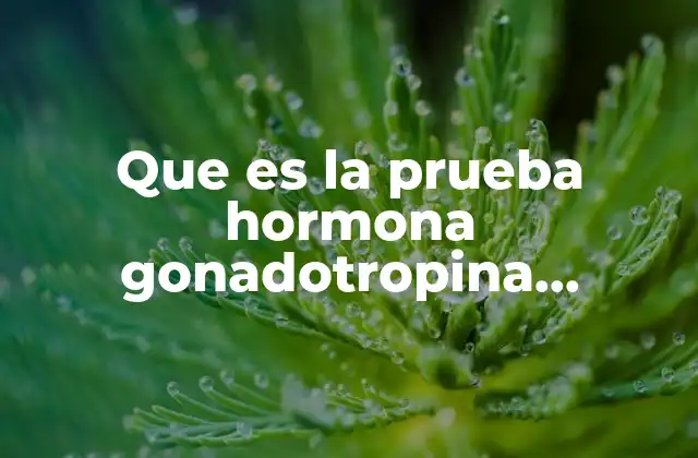 Que es la Prueba Hormona Gonadotropina Corionica