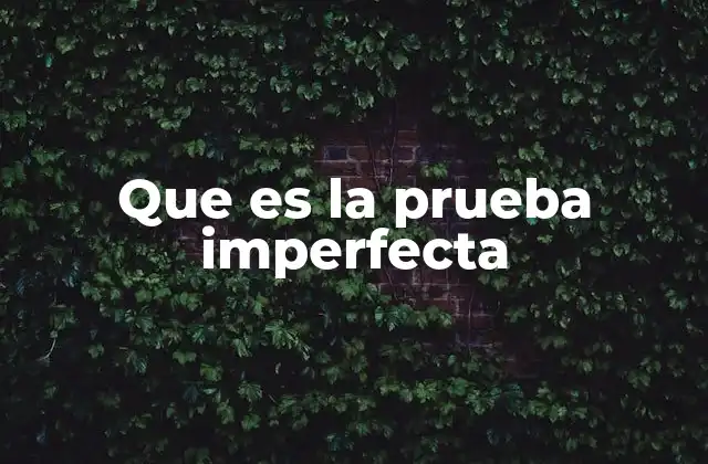 Que es la Prueba Imperfecta