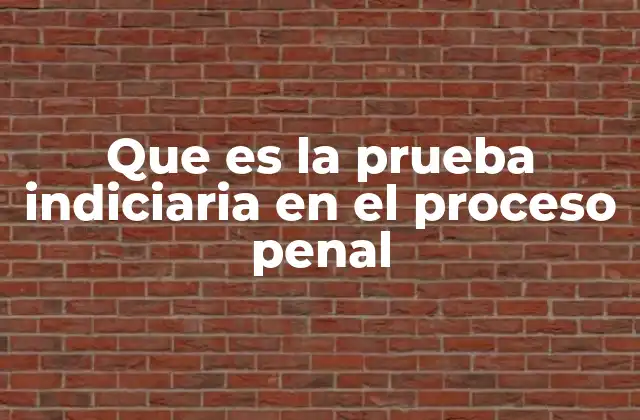 El papel de las pruebas en la justicia penal