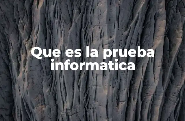Que es la Prueba Informatica