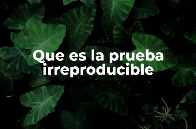 Que es la Prueba Irreproducible
