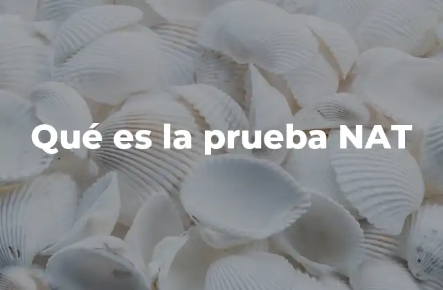 Qué es la Prueba Nat