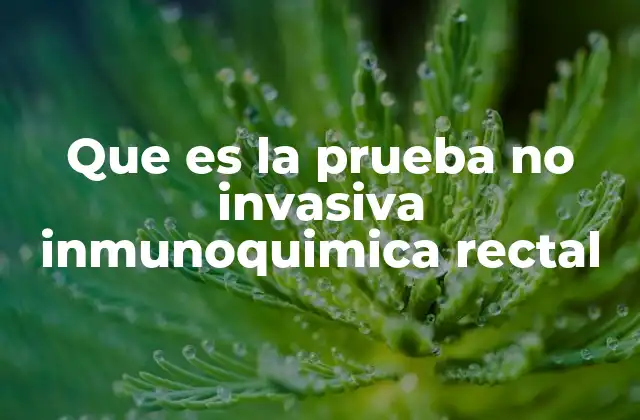 Que es la Prueba No Invasiva Inmunoquimica Rectal