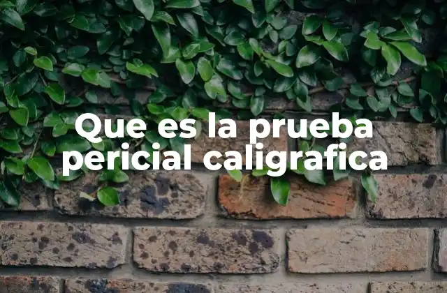 Que es la Prueba Pericial Caligrafica