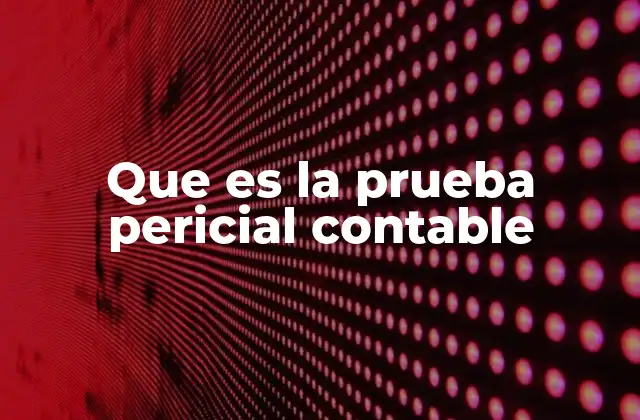 Que es la Prueba Pericial Contable