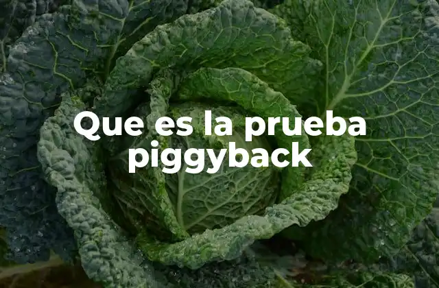 Que es la Prueba Piggyback