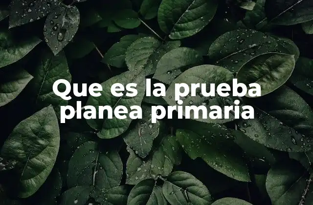 Que es la Prueba Planea Primaria