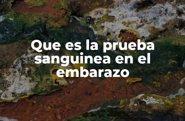 Que es la Prueba Sanguinea en el Embarazo
