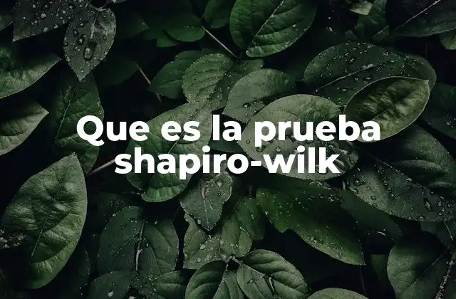 Que es la Prueba Shapiro-wilk