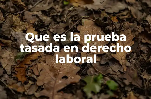 Que es la Prueba Tasada en Derecho Laboral