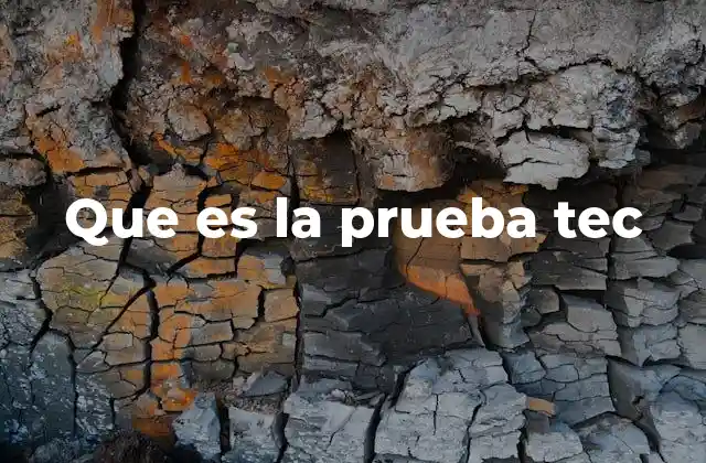 Que es la Prueba Tec